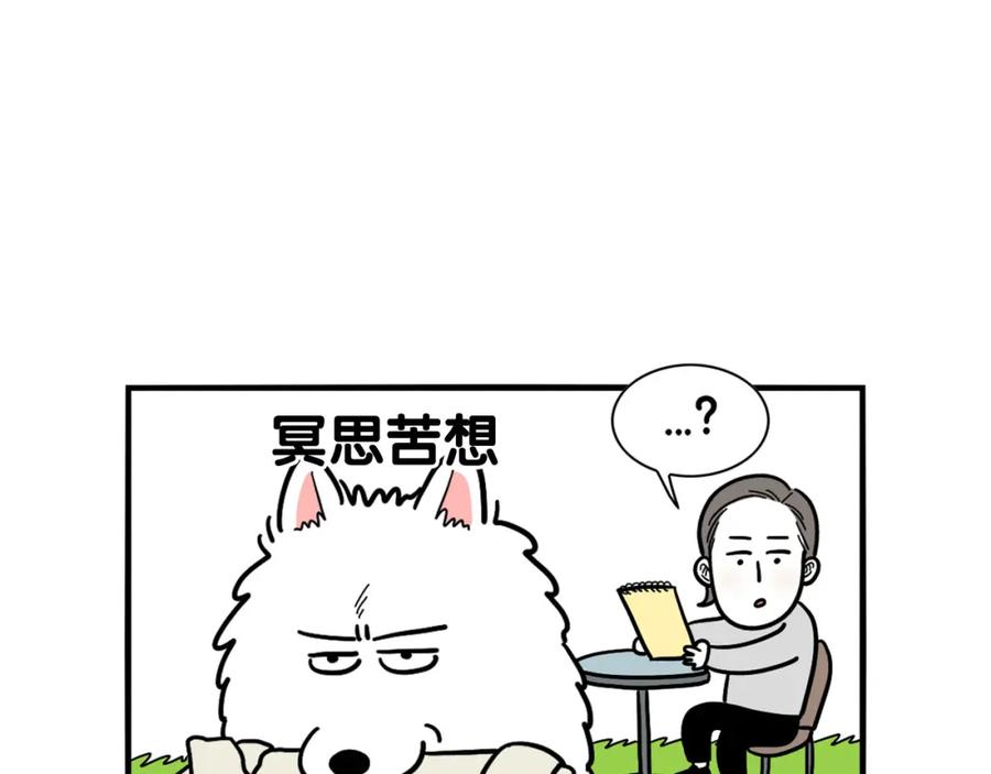 第19话藏磨牙棒-我的狗子叫棉花-milo+Polarfox（第13张）