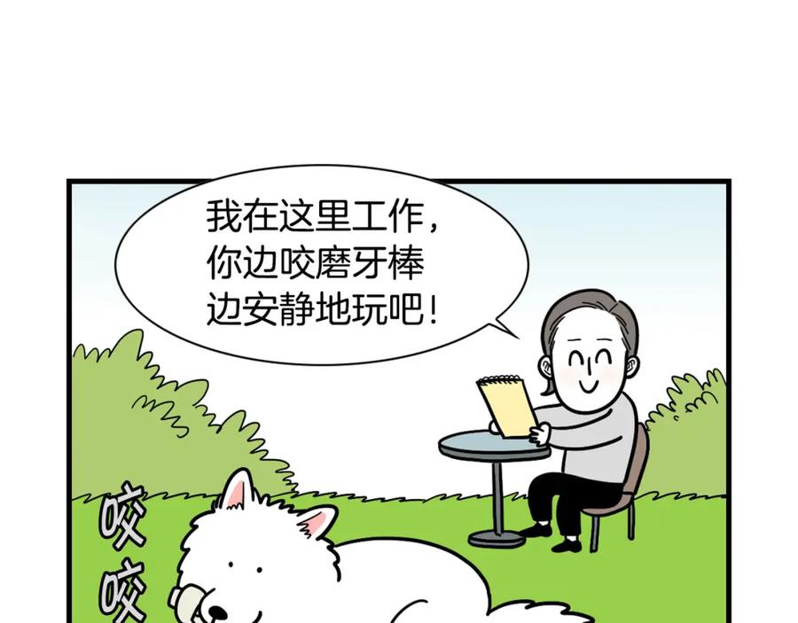 第19话藏磨牙棒-我的狗子叫棉花-milo+Polarfox（第10张）
