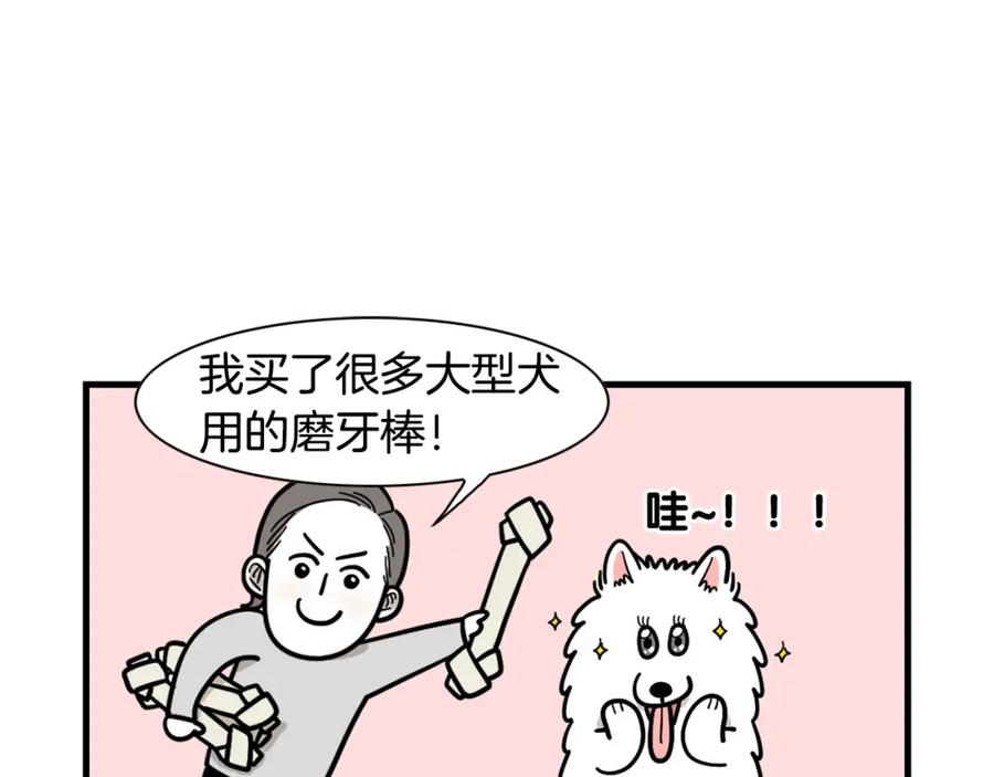 第19话藏磨牙棒-我的狗子叫棉花-milo+Polarfox（第4张）
