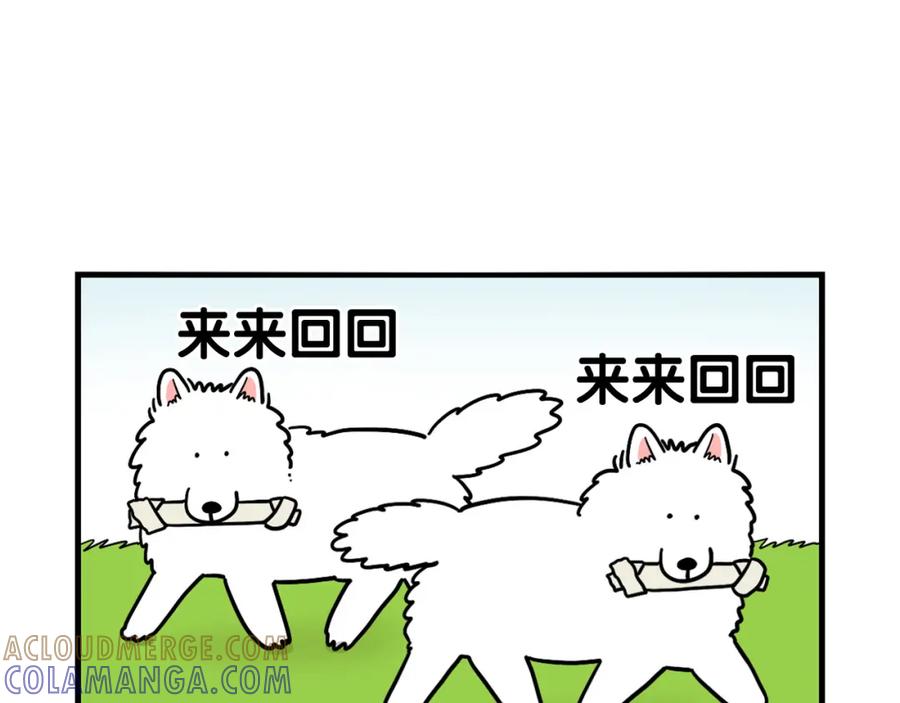 第19话藏磨牙棒-我的狗子叫棉花-milo+Polarfox（第15张）
