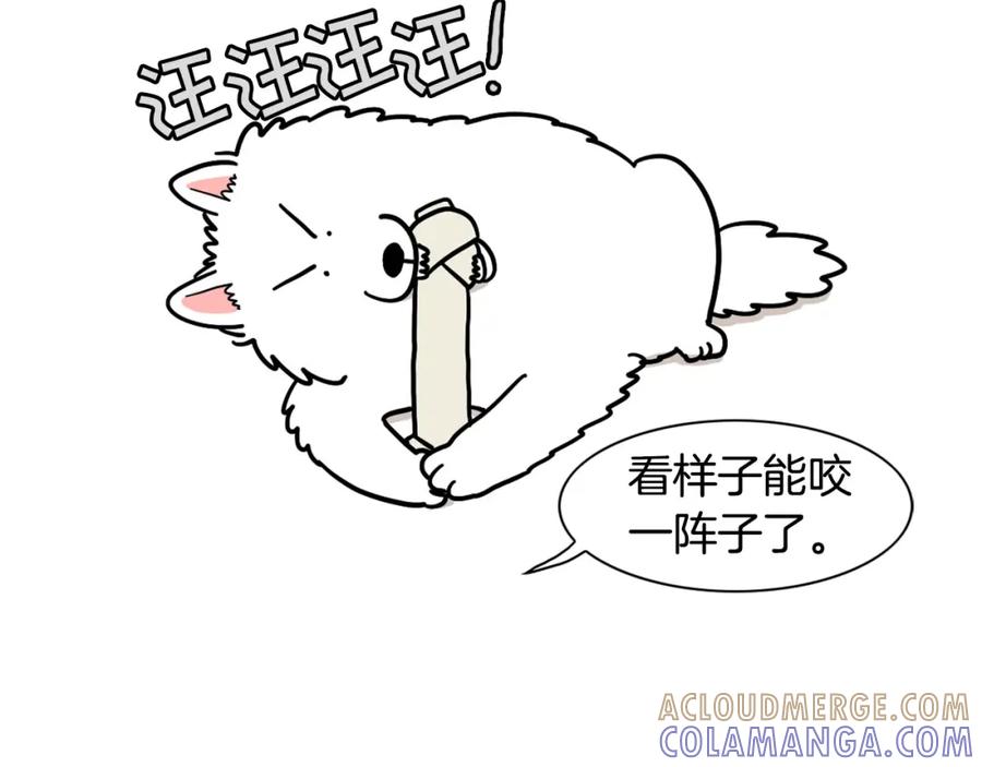 第19话藏磨牙棒-我的狗子叫棉花-milo+Polarfox（第9张）
