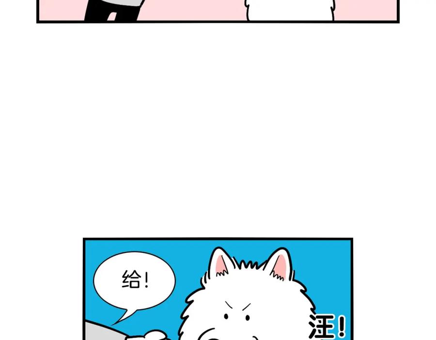 第19话藏磨牙棒-我的狗子叫棉花-milo+Polarfox（第5张）