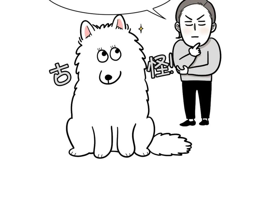 第20话越大越好养？-我的狗子叫棉花-milo+Polarfox（第5张）