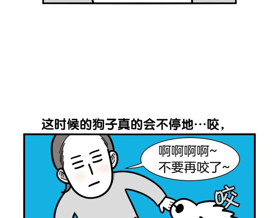 第21话可怕的换牙期-我的狗子叫棉花-milo+Polarfox（第5张）