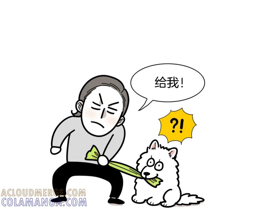 第21话可怕的换牙期-我的狗子叫棉花-milo+Polarfox（第9张）