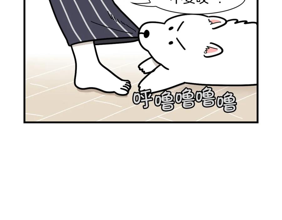 第21话可怕的换牙期-我的狗子叫棉花-milo+Polarfox（第7张）