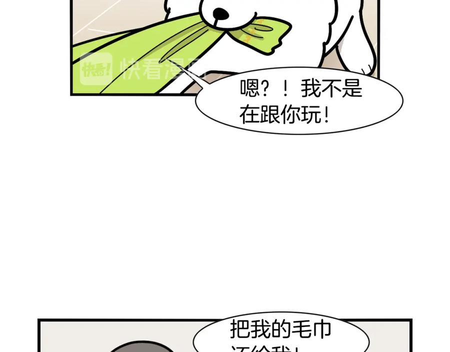 第21话可怕的换牙期-我的狗子叫棉花-milo+Polarfox（第11张）