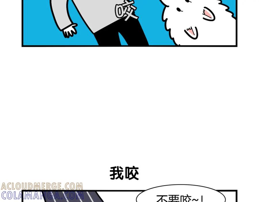 第21话可怕的换牙期-我的狗子叫棉花-milo+Polarfox（第6张）