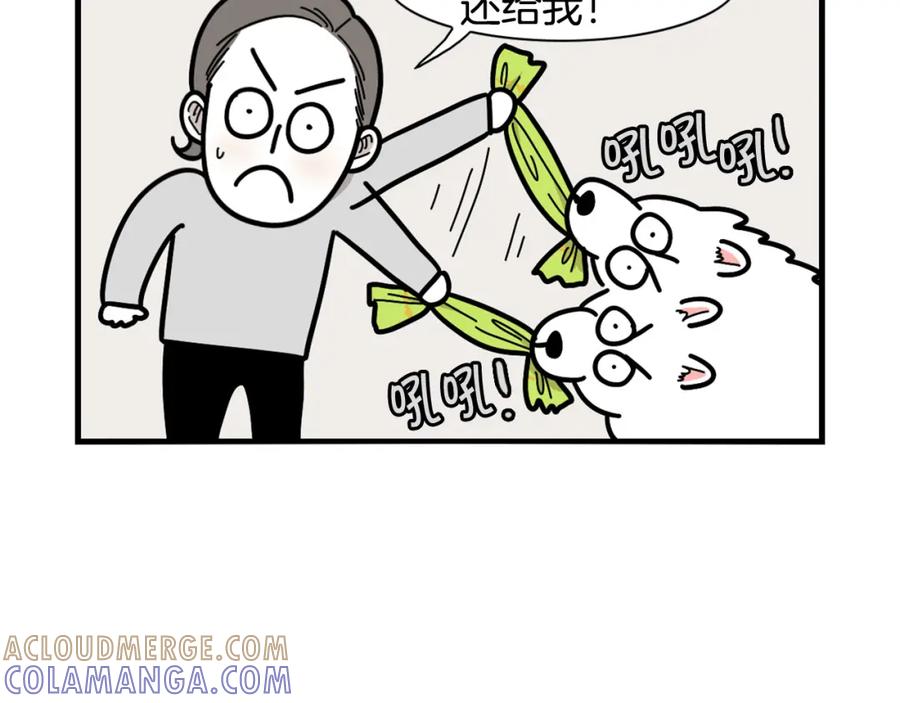 第21话可怕的换牙期-我的狗子叫棉花-milo+Polarfox（第12张）