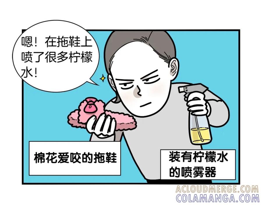 第22话尝试偏方-我的狗子叫棉花-milo+Polarfox（第6张）