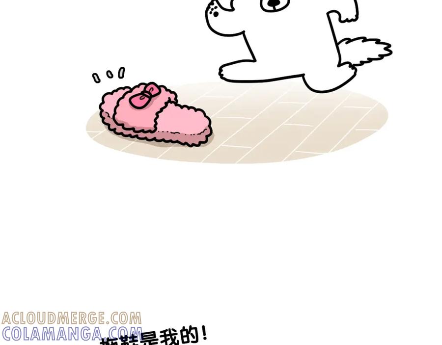第22话尝试偏方-我的狗子叫棉花-milo+Polarfox（第9张）