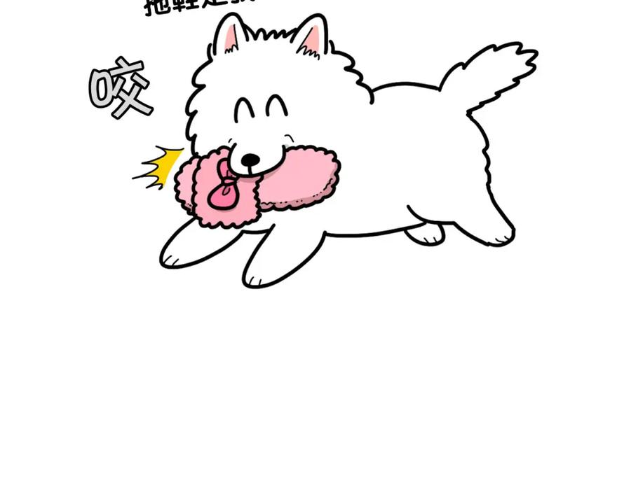 第22话尝试偏方-我的狗子叫棉花-milo+Polarfox（第10张）