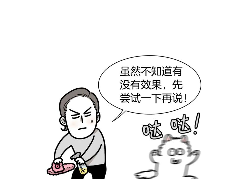 第22话尝试偏方-我的狗子叫棉花-milo+Polarfox（第7张）