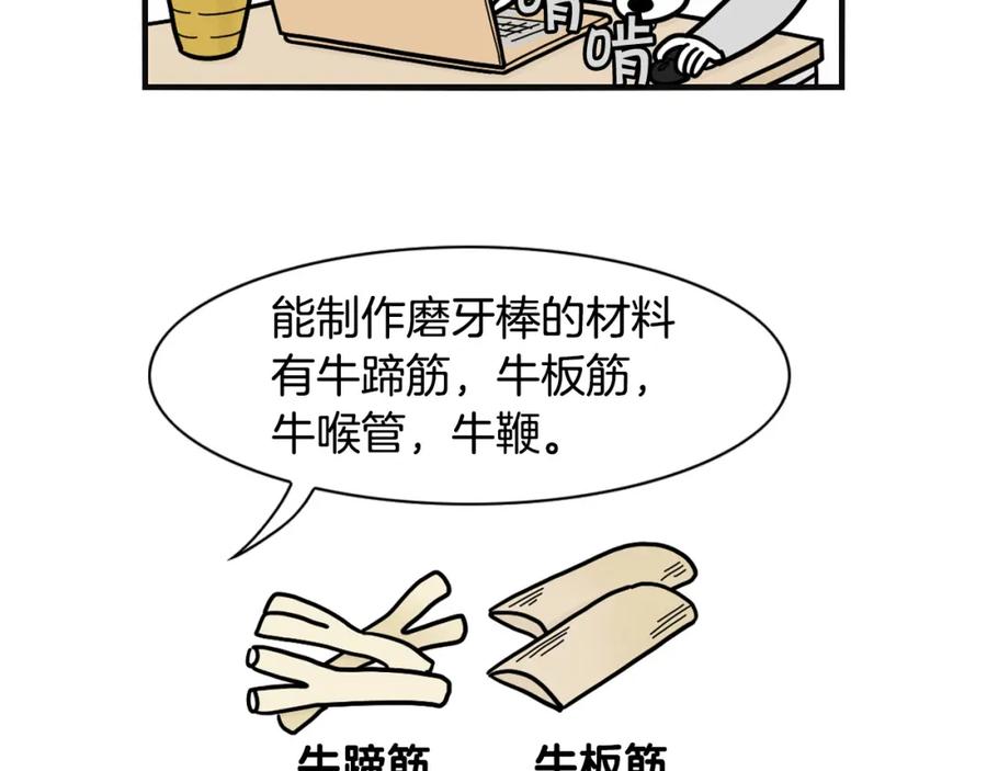 第23话一双巧手走天下！-我的狗子叫棉花-milo+Polarfox（第5张）