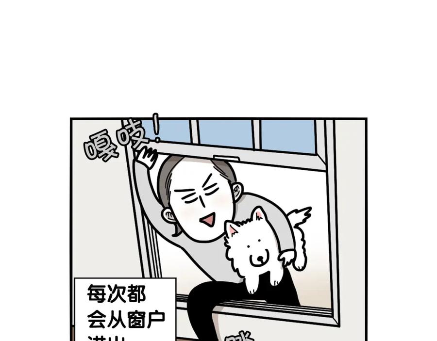 第24话棉花的窝-我的狗子叫棉花-milo+Polarfox（第6张）