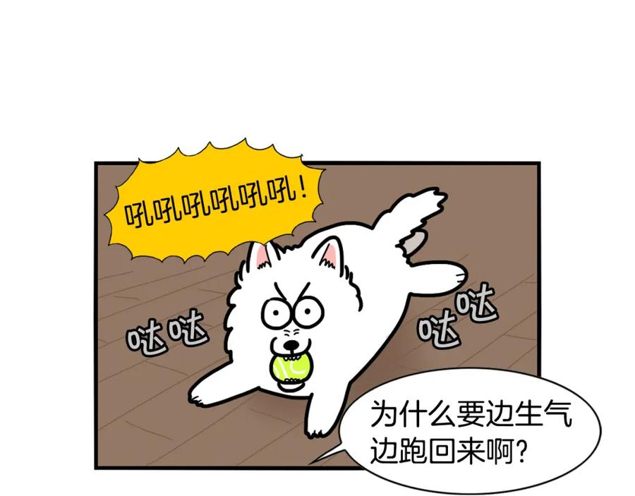 第24话棉花的窝-我的狗子叫棉花-milo+Polarfox（第10张）