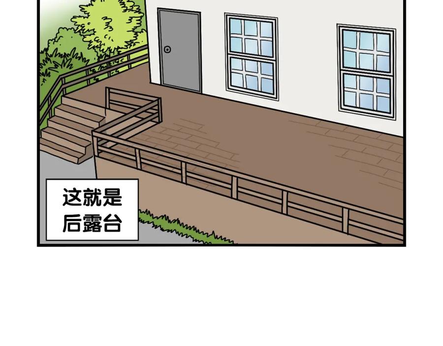 第24话棉花的窝-我的狗子叫棉花-milo+Polarfox（第5张）