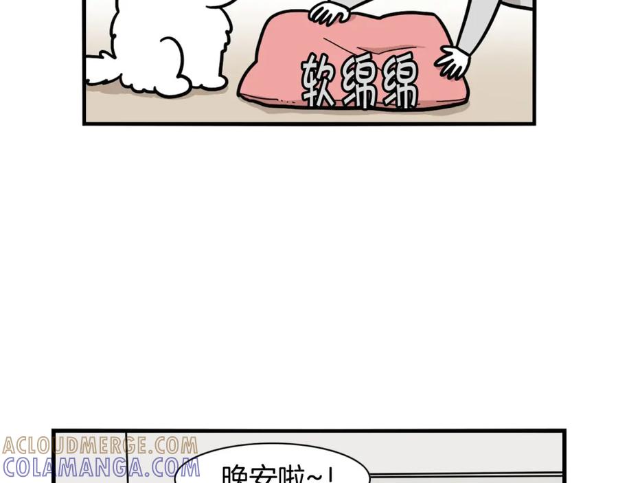 第25话太闹腾的后果-我的狗子叫棉花-milo+Polarfox（第6张）