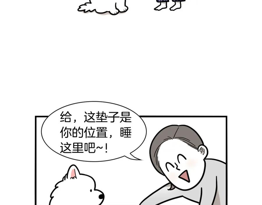 第25话太闹腾的后果-我的狗子叫棉花-milo+Polarfox（第5张）