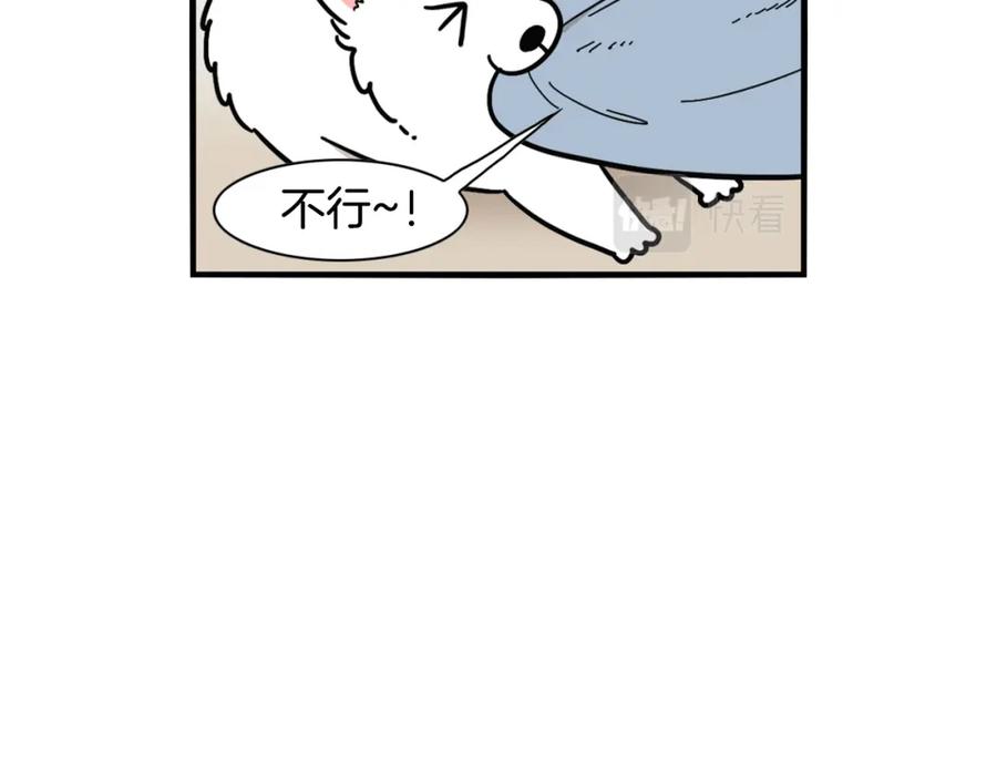 第25话太闹腾的后果-我的狗子叫棉花-milo+Polarfox（第10张）
