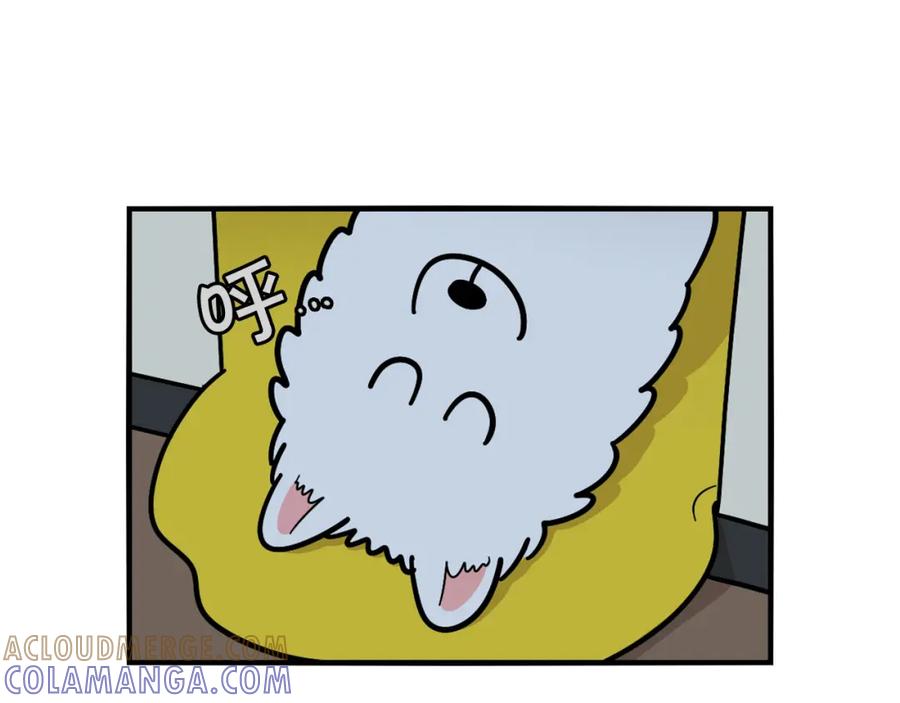 第26话棉花牌闹钟-我的狗子叫棉花-milo+Polarfox（第8张）