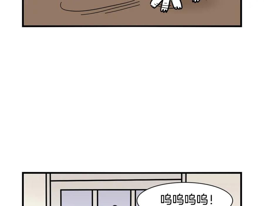 第26话棉花牌闹钟-我的狗子叫棉花-milo+Polarfox（第17张）