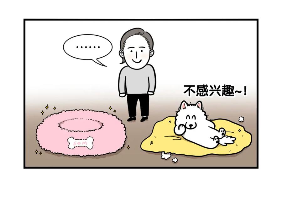 第27话猫犬不宁？-我的狗子叫棉花-milo+Polarfox（第10张）