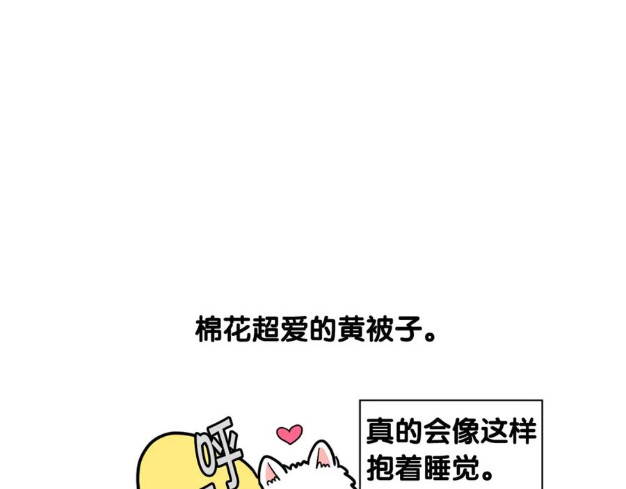 第27话猫犬不宁？-我的狗子叫棉花-milo+Polarfox（第4张）