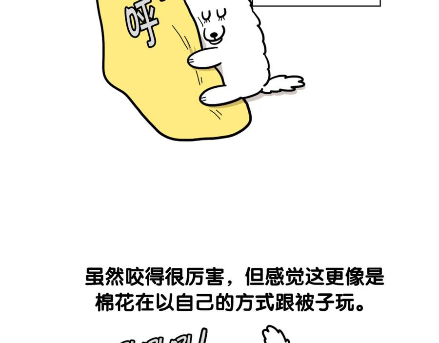 第27话猫犬不宁？-我的狗子叫棉花-milo+Polarfox（第5张）