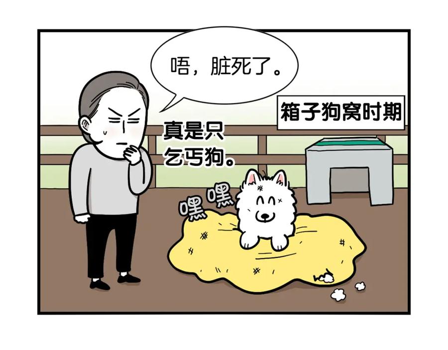 第27话猫犬不宁？-我的狗子叫棉花-milo+Polarfox（第7张）