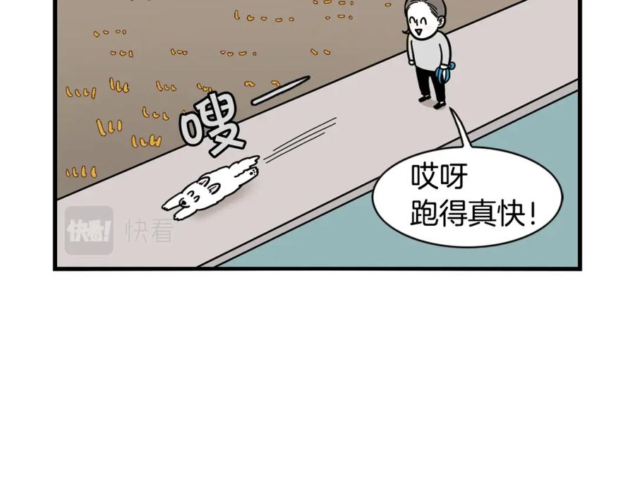 第28话不牵狗绳的后果-我的狗子叫棉花-milo+Polarfox（第11张）