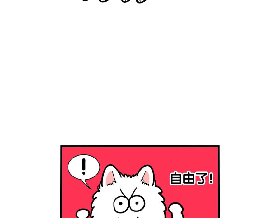 第28话不牵狗绳的后果-我的狗子叫棉花-milo+Polarfox（第9张）