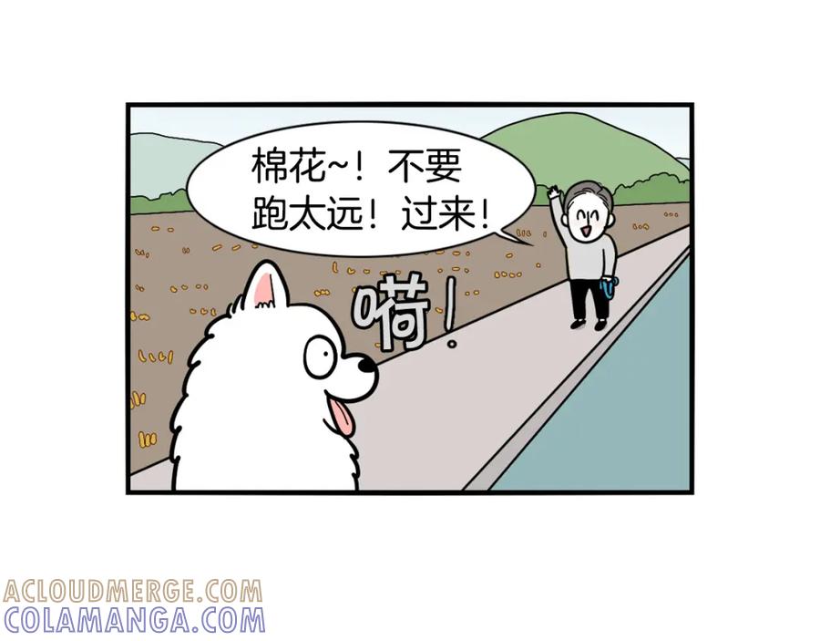 第28话不牵狗绳的后果-我的狗子叫棉花-milo+Polarfox（第12张）