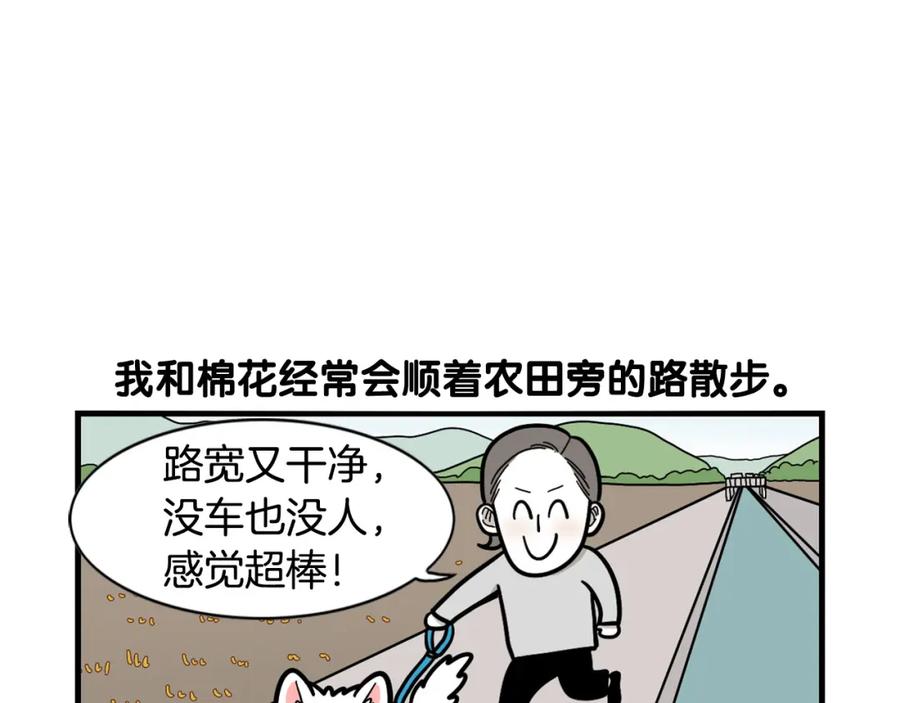 第28话不牵狗绳的后果-我的狗子叫棉花-milo+Polarfox（第5张）
