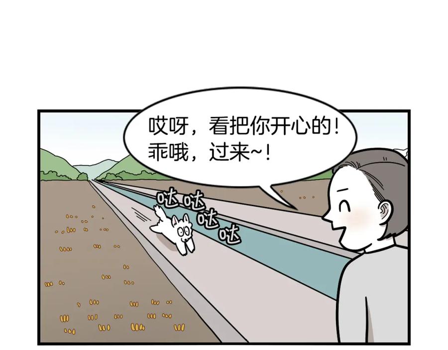 第28话不牵狗绳的后果-我的狗子叫棉花-milo+Polarfox（第15张）