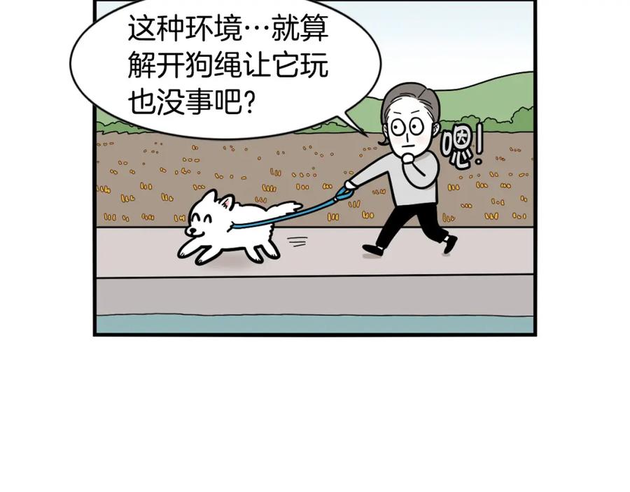 第28话不牵狗绳的后果-我的狗子叫棉花-milo+Polarfox（第7张）