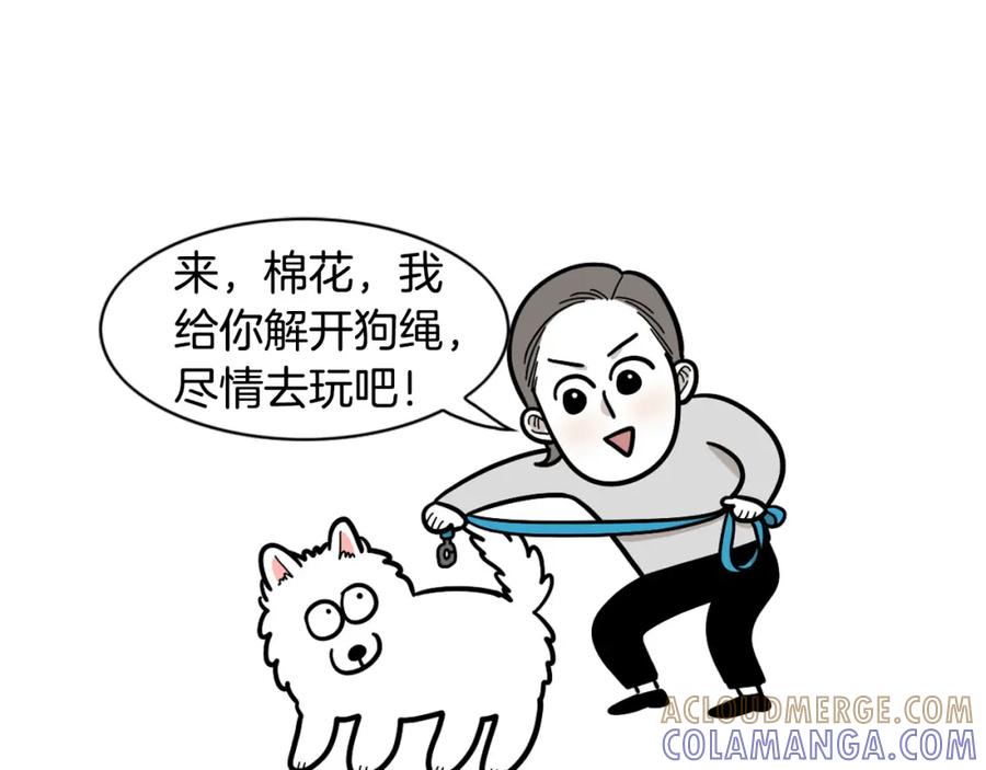第28话不牵狗绳的后果-我的狗子叫棉花-milo+Polarfox（第8张）