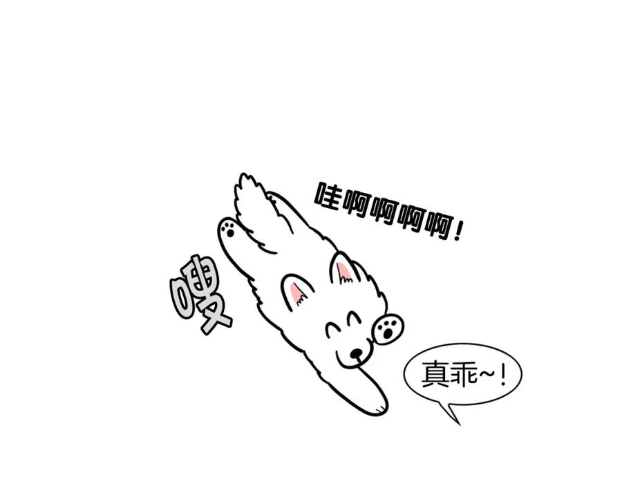 第28话不牵狗绳的后果-我的狗子叫棉花-milo+Polarfox（第13张）