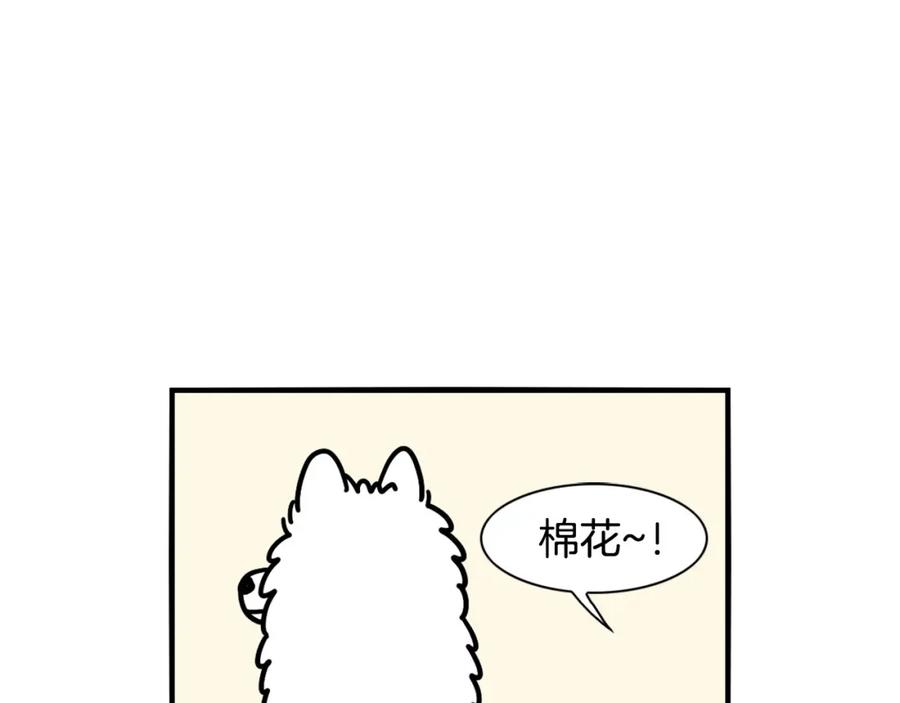 第29话猴子期的狗很丑？-我的狗子叫棉花-milo+Polarfox（第4张）
