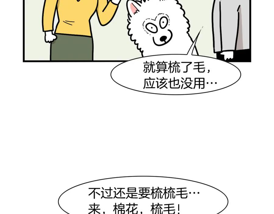 第29话猴子期的狗很丑？-我的狗子叫棉花-milo+Polarfox（第13张）