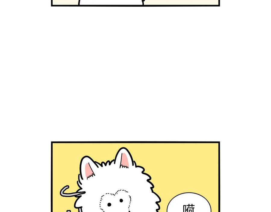 第29话猴子期的狗很丑？-我的狗子叫棉花-milo+Polarfox（第5张）