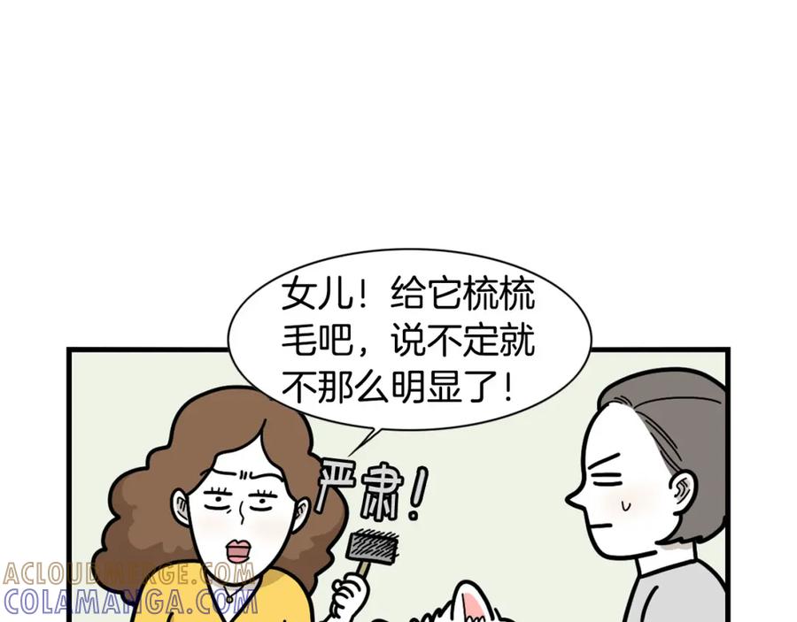 第29话猴子期的狗很丑？-我的狗子叫棉花-milo+Polarfox（第12张）