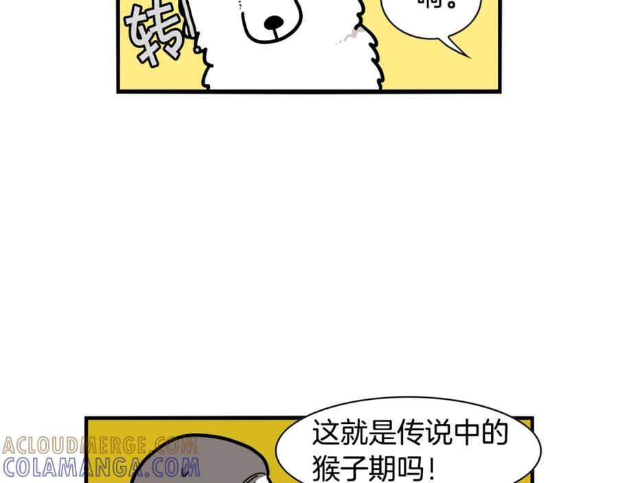 第29话猴子期的狗很丑？-我的狗子叫棉花-milo+Polarfox（第6张）