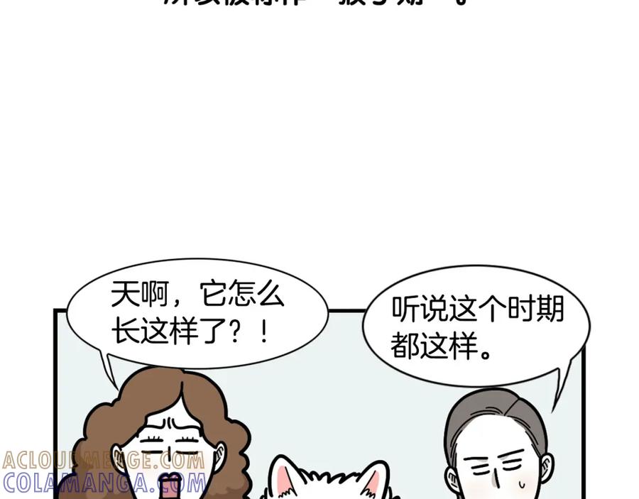 第29话猴子期的狗很丑？-我的狗子叫棉花-milo+Polarfox（第9张）