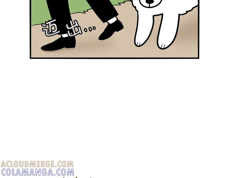 第30话咬鞋狂魔-我的狗子叫棉花-milo+Polarfox（第6张）