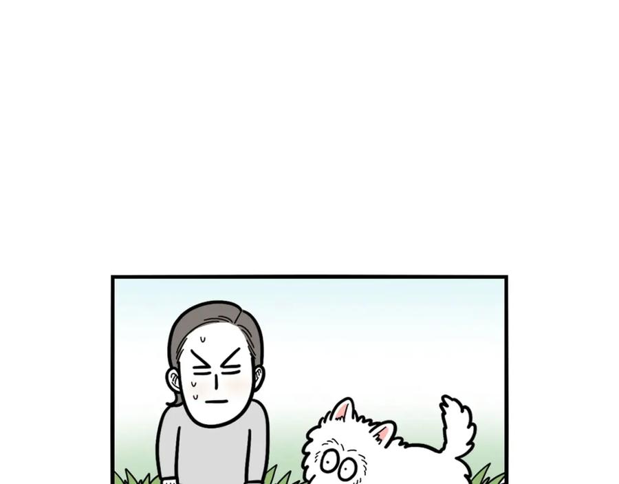 第30话咬鞋狂魔-我的狗子叫棉花-milo+Polarfox（第8张）