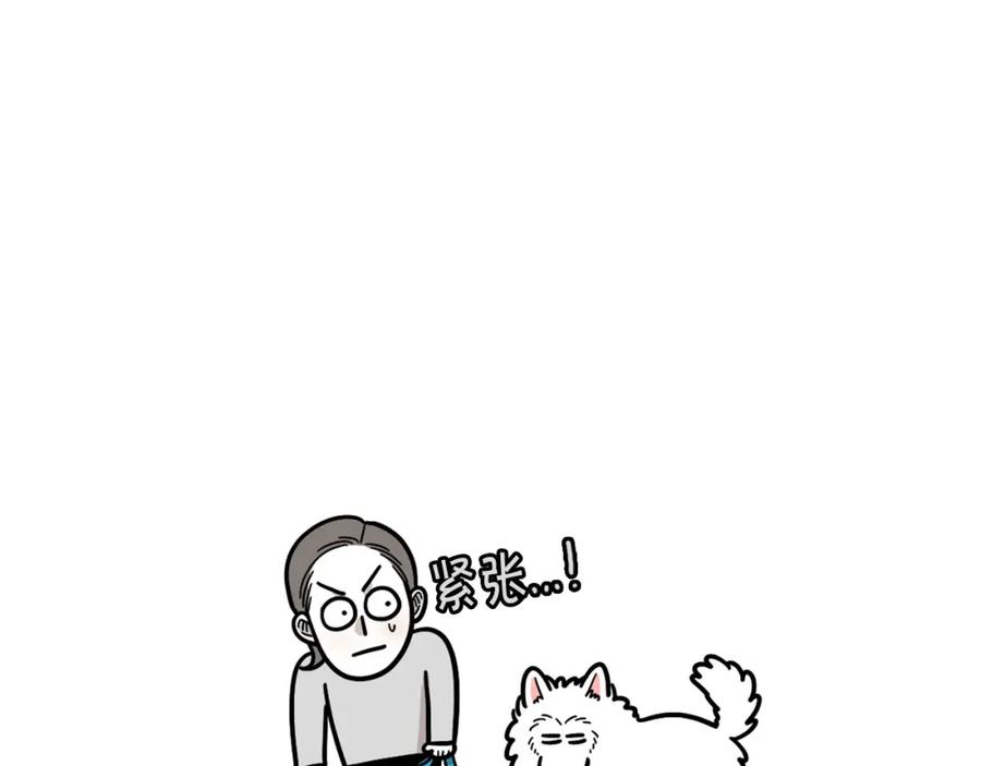 第30话咬鞋狂魔-我的狗子叫棉花-milo+Polarfox（第4张）