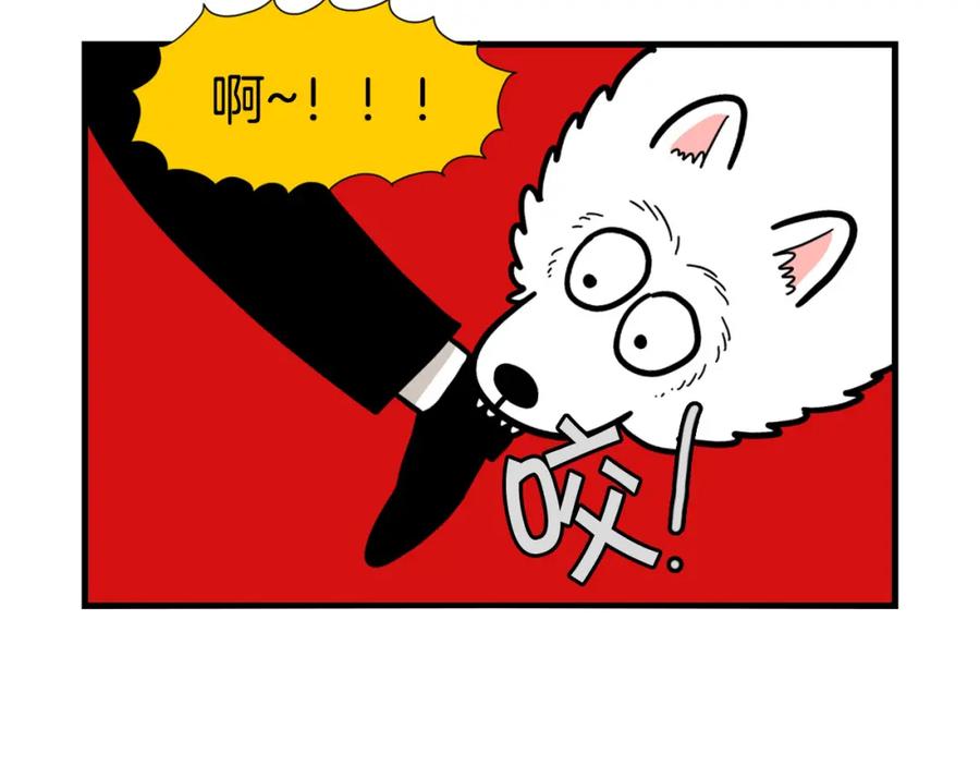 第30话咬鞋狂魔-我的狗子叫棉花-milo+Polarfox（第7张）