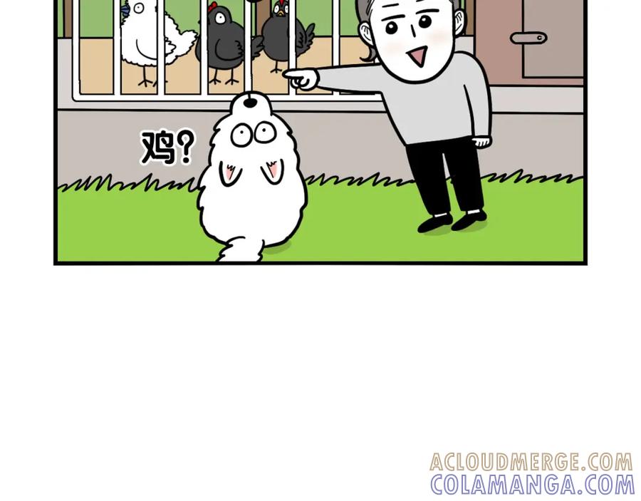 第31话养鸡之旅-我的狗子叫棉花-milo+Polarfox（第9张）