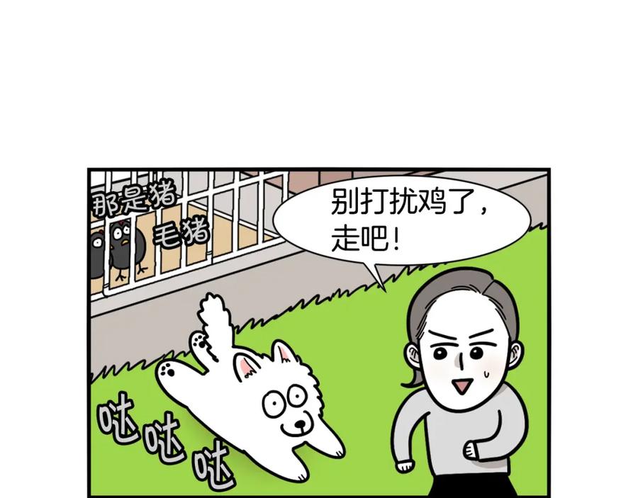 第31话养鸡之旅-我的狗子叫棉花-milo+Polarfox（第13张）